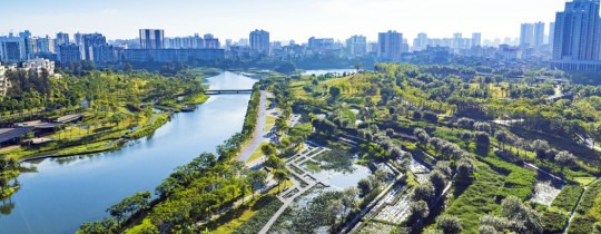 Image Sponge Cities: A Revolutionary Approach to Urban Water Management Image Sponge Cities: A Revolutionary Approach to Urban Water Management