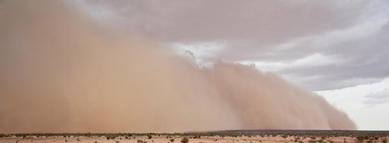 Image Journée internationale de la lutte contre les tempêtes de sable et de poussière