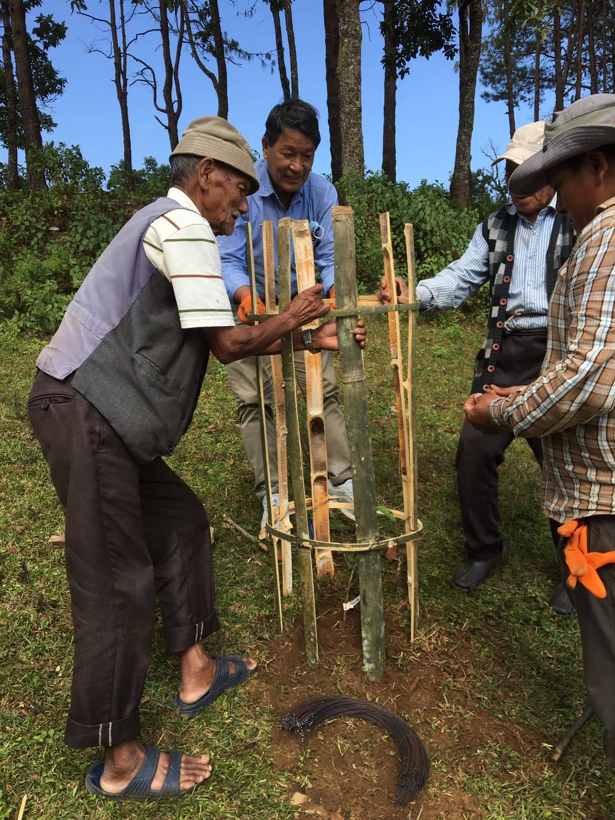 Reforestation project in Nepal restoring degraded land