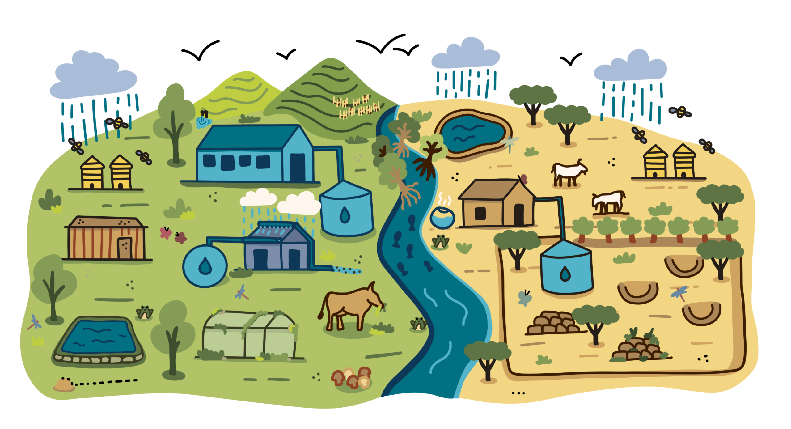 Illustrated map showing the power of rainwater harvesting.