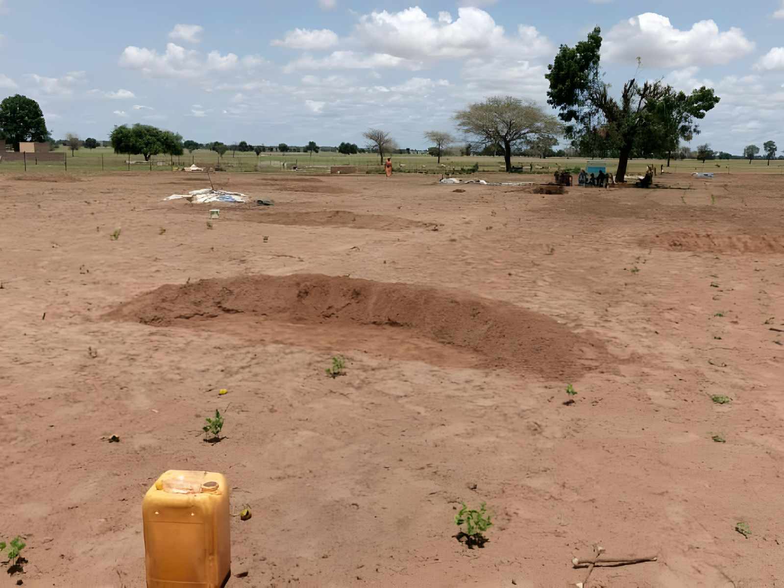 Degraded land in Senegal before the installation of half-moon rainwater harvesting structures