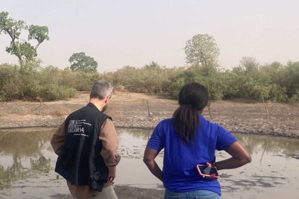 IRHA team member assessing waterpond in Senegal