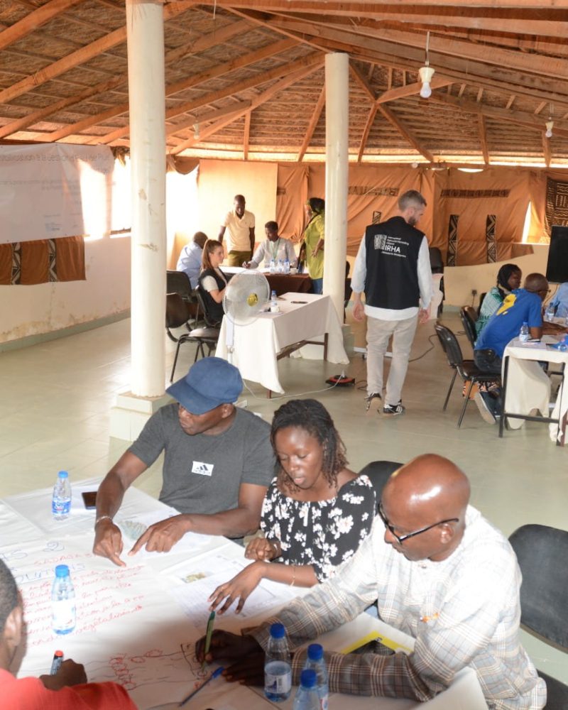 Working group sharing knowledge in Senegal